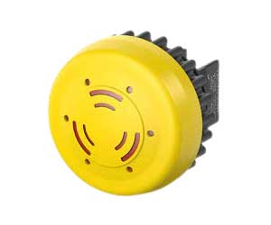 Buzzer