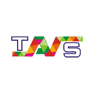 Techtonic Automation & Vision System Logo